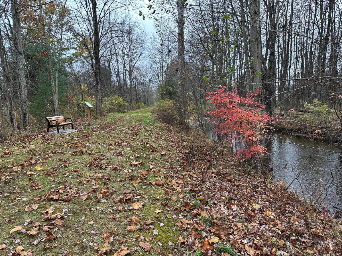 Escape To A Streamside Cabin In The Lower Catskills Wurtsboro Exteriér fotografie